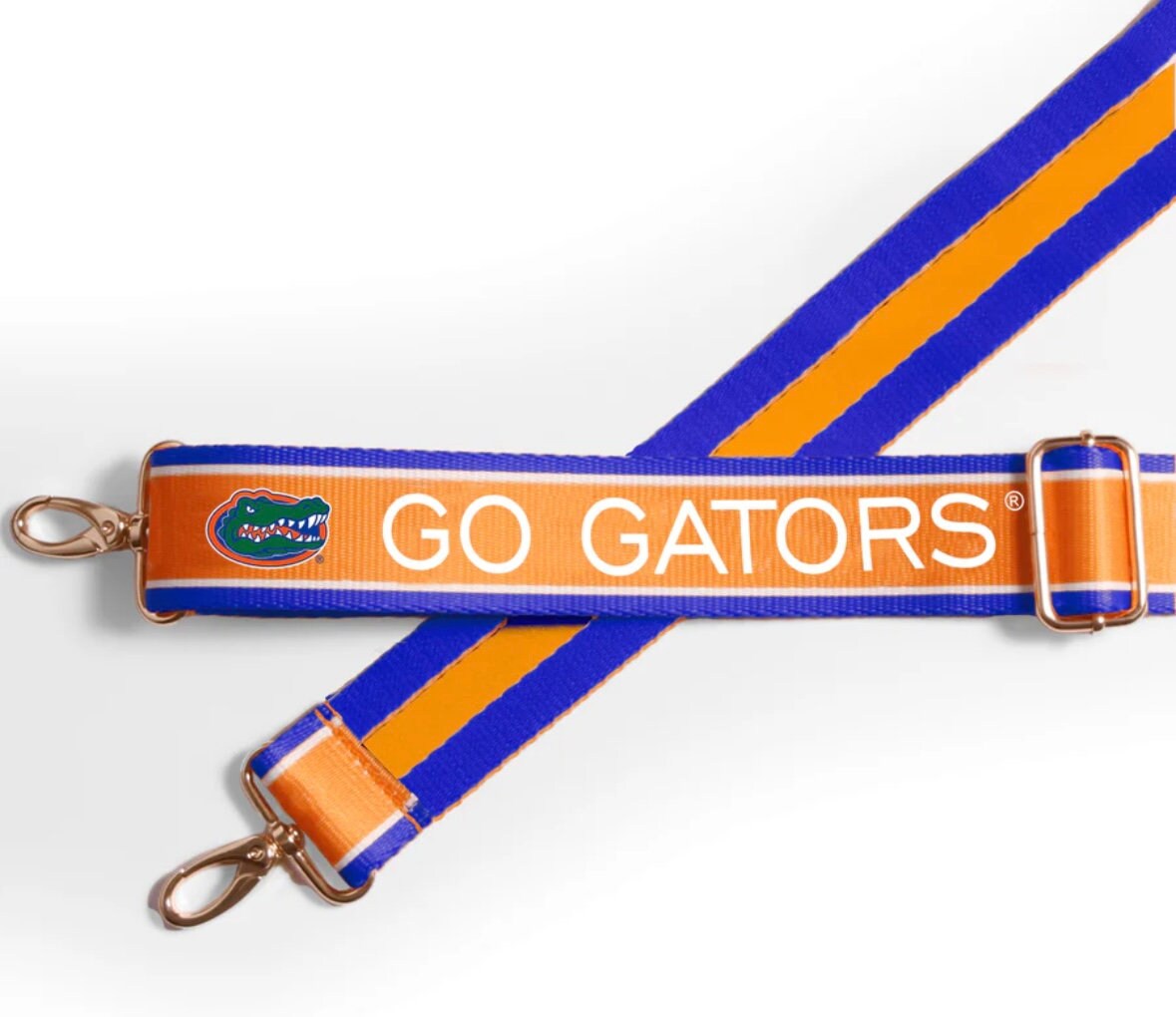 Florida GO GATORS Clear Purse with Strap - Licensed, Canvas, Tailgating, Game Day, Stadium Approved, Crossbody, Back to School, Graduation