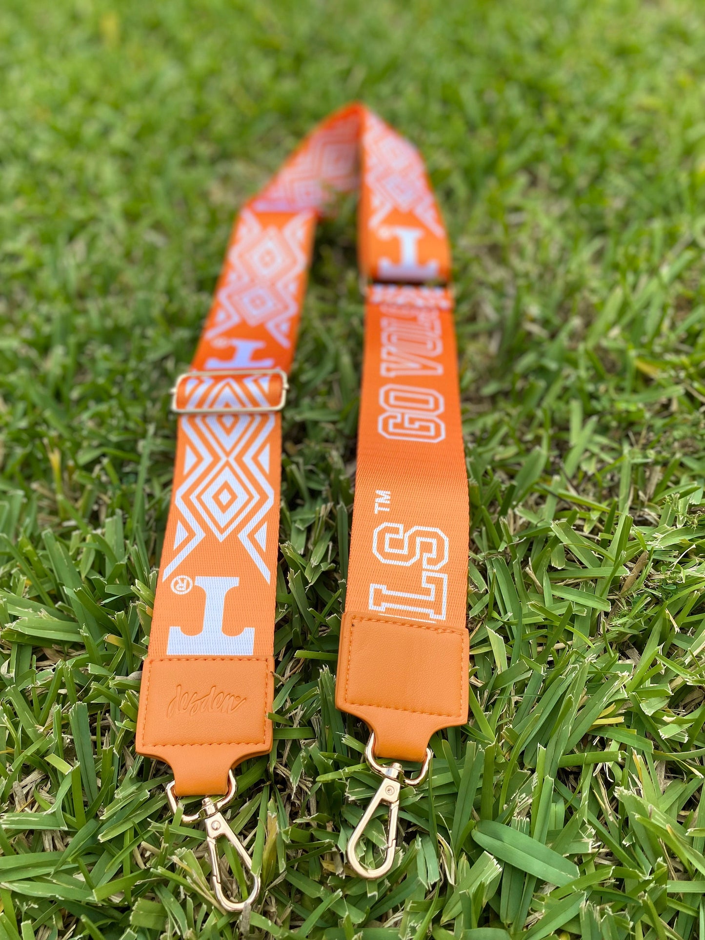 Tennessee Clear Purse with Strap GO VOLS, Licensed, Patterned, Tailgating, Game Day, Stadium Approved, Graduation Gift, Back to School