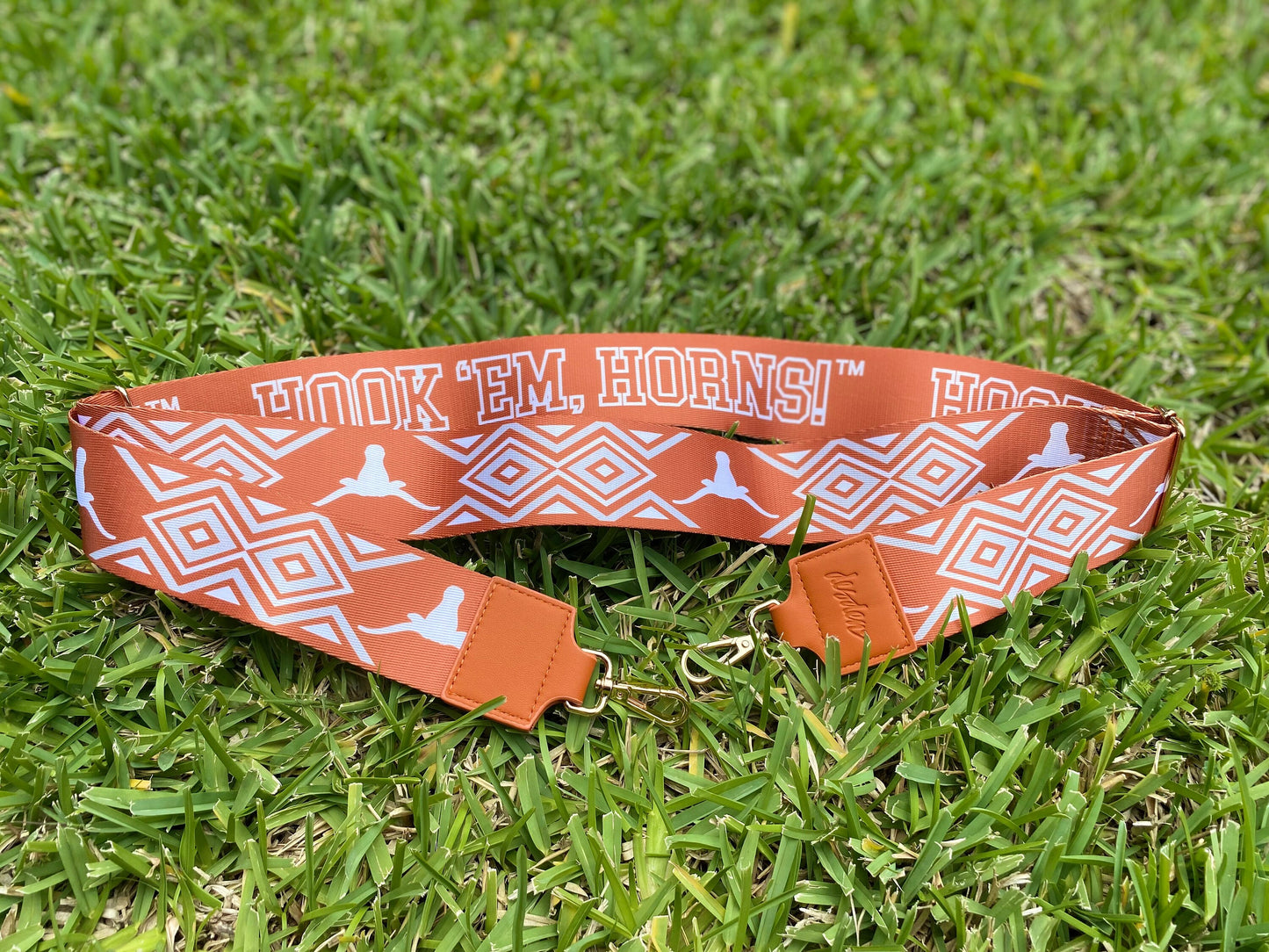 Texas Longhorn Clear Purse with Strap, HOOKEM-Licensed, Canvas, Purse, Game Day, Stadium, Crossbody, Graduation Gift, Valentines