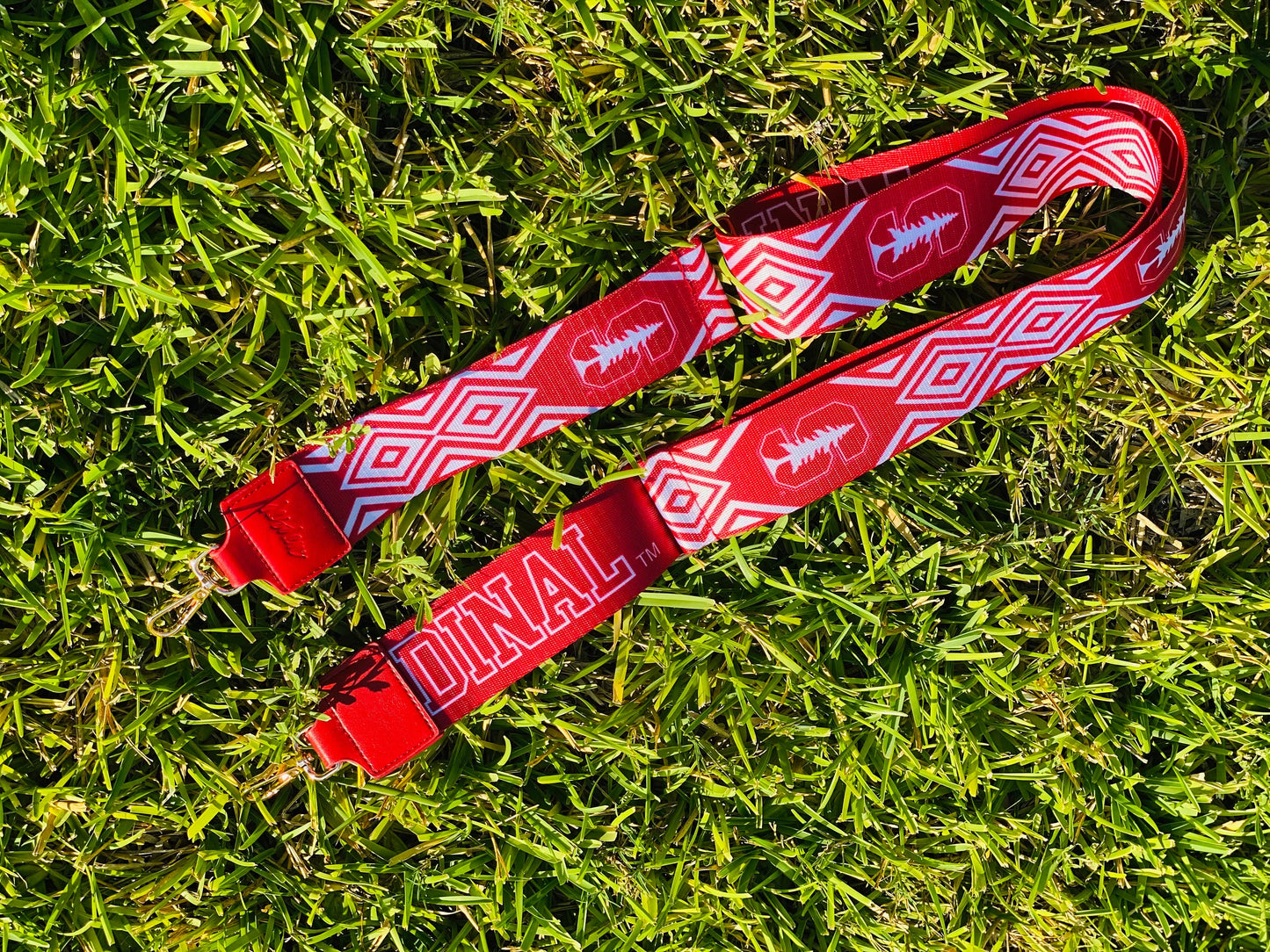 Stanford GO CARDINALS - Adjustable Purse Strap, Licensed, Stadium Approved, Game Day, Patterned, Graduation Gift, Clear Bag, Back To School